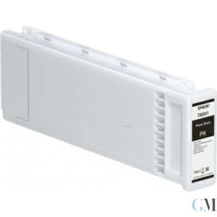 Original Epson C13T800100/T8001 Tintenpatrone schwarz foto 700ml