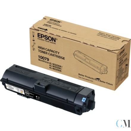 Original Epson C13S110079/10079 Tonerkartusche High-Capacity, 6.100 Seiten