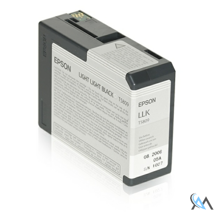 Original Epson C13T580900/T5809 Tintenpatrone schwarz hell hell 80ml